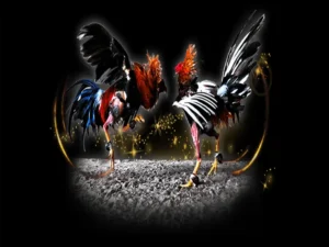 Hé Lộ Cách Chơi Đá Gà Sabong Tại QQ88 Từ Các Sư Kê