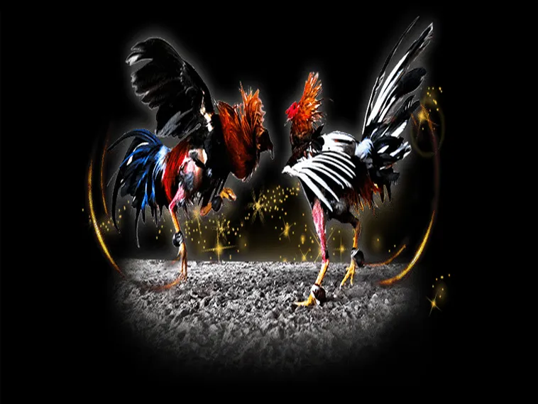 Hé Lộ Cách Chơi Đá Gà Sabong Tại QQ88 Từ Các Sư Kê 1 Hé Lộ Cách Chơi Đá Gà Sabong Tại QQ88 Từ Các Sư Kê