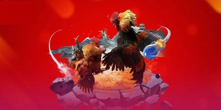 Đá Gà QQ88 1 Bí Kíp Soi Kèo Đá Gà QQ88 Chuẩn Xác Từ Các Cao Thủ Hàng Đầu